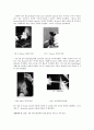   mouse와 rat에 다양한 방법(P.O, S.C, I.V, I.P)으로 약물을 투여한 뒤 해부를 통해 약물의 투여부위 확인. 7페이지