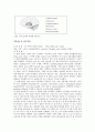 Rat의 ether 단독 흡입마취과정과  morphine 투여후의 ether 흡입마취과정 관찰비교 및 rat 해부를 통한 뇌와 장기의 세부적인 관찰  4페이지