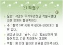 혈액에 관련된 학습지도 PPT자료 8페이지