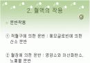 혈액에 관련된 학습지도 PPT자료 11페이지