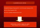 다큐멘터리에 대한 전반적 분석 3페이지