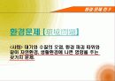 세계 4대 환경문제 분석 및 해결방안 3페이지