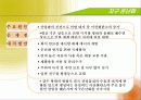 세계 4대 환경문제 분석 및 해결방안 7페이지