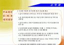 세계 4대 환경문제 분석 및 해결방안 12페이지