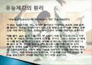 유도에 대하여..(목차 참고) 3페이지