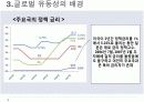 글로벌 유동성위기와 서브프라임 영향 13페이지
