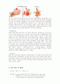 위암 case study 5페이지