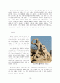 미셸투르니에 작품 분석 12페이지
