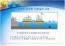 주암호오염 9페이지
