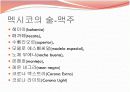 멕시코의 음식문화 15페이지