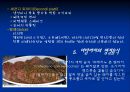 이탈리아의 음식문화 15페이지