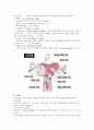 [모성간호학] 자궁근종 CASE STUDY (케이스) 3페이지