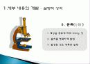 파워포인트 (본론 설명) 10페이지