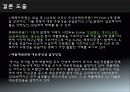 강원랜드 09년도 재무 분석 29페이지
