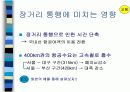 경부고속철도 사업에 대한 고찰. 36페이지