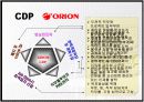 CDP의 정의와 CDP 한국기업 사례분석 11페이지
