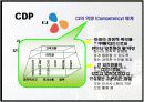 CDP의 정의와 CDP 한국기업 사례분석 12페이지
