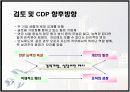 CDP의 정의와 CDP 한국기업 사례분석 15페이지