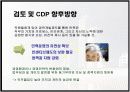 CDP의 정의와 CDP 한국기업 사례분석 16페이지