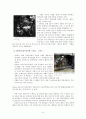 베트남의 문화와 역사 10페이지