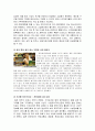 반도체 IC(집적회로)에 대하여... 11페이지