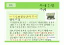 관료제의 역기능과 그 사례. 6페이지