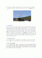 일본의 연중행사 일본의 국경일 히나마츠리 단고노셋쿠 시치고산 세츠분 오쇼가츠 6페이지