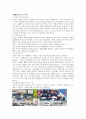 일본의 문화 5페이지