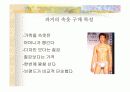 속옷의 유통 7페이지