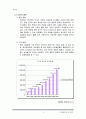 신제품기획서 3페이지
