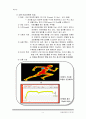신제품기획서 11페이지