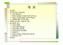 (PPT 발표자료)민주주의 기본원리와 신생 민주주의의 공고화 2페이지