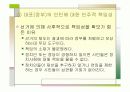 (PPT 발표자료)민주주의 기본원리와 신생 민주주의의 공고화 8페이지