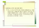 (PPT 발표자료)민주주의 기본원리와 신생 민주주의의 공고화 11페이지