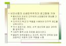 (PPT 발표자료)민주주의 기본원리와 신생 민주주의의 공고화 15페이지