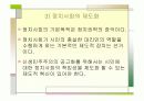 (PPT 발표자료)민주주의 기본원리와 신생 민주주의의 공고화 16페이지