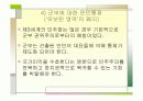 (PPT 발표자료)민주주의 기본원리와 신생 민주주의의 공고화 17페이지