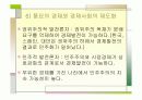(PPT 발표자료)민주주의 기본원리와 신생 민주주의의 공고화 19페이지