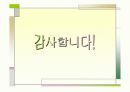 (PPT 발표자료)민주주의 기본원리와 신생 민주주의의 공고화 22페이지