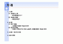 사례조사를 통한 태양광에너지의 발전가능성 2페이지