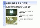 사례조사를 통한 태양광에너지의 발전가능성 11페이지