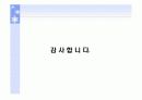 사례조사를 통한 태양광에너지의 발전가능성 17페이지
