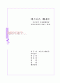 신조어가 기성세대와의 의사소통에 미치는 영향 1페이지