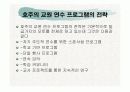 해외 교육정보화 정책동향에 대해서 13페이지