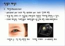 CCD의 구조와 원리 8페이지