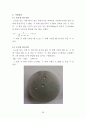 알루미늄 경도 시험 (브리넬 경도, 로크웰 경도) 28페이지
