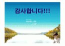 KT의 경력개발 프로그램(CDP)와 그 시사점 24페이지