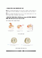 외상성 뇌손상(TBI)의 진단,분류,병태생리,증상,치료,예후 4페이지