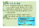중국의 전통음악 악기에 대하여 파워포인트 발표 자료 4페이지