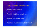 Biomechanic of bone 2페이지